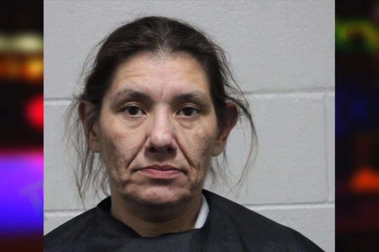 Ginger Bridges mugshot – Habersham County , Georgia Ginger Bridges