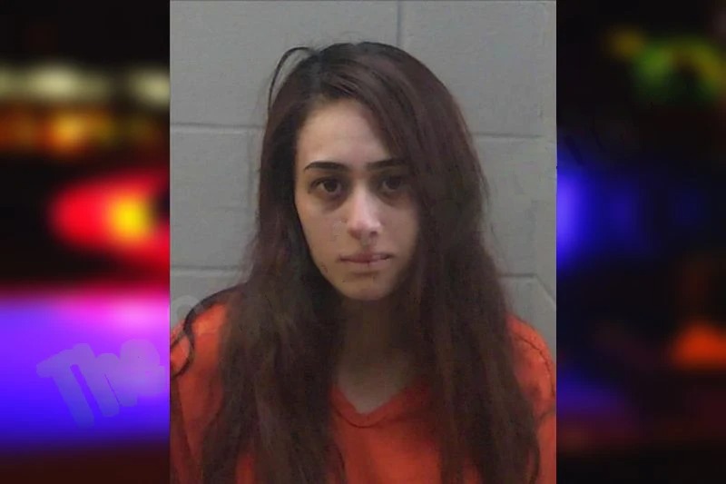 Gisell Palomera Mugshots