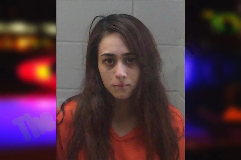 Gisell Palomera Mugshots