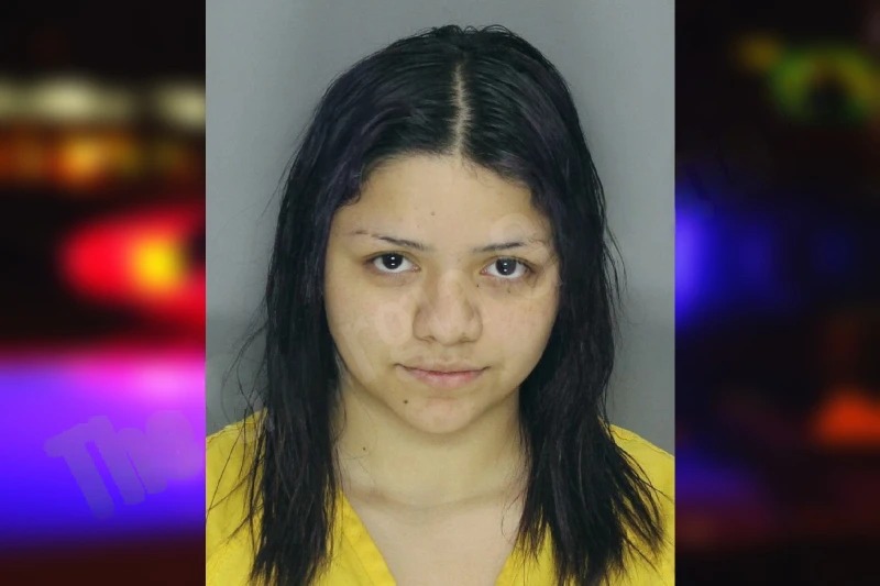 Glendis Flores mugshot – Cobb County , Georgia Glendis Flores mugshot