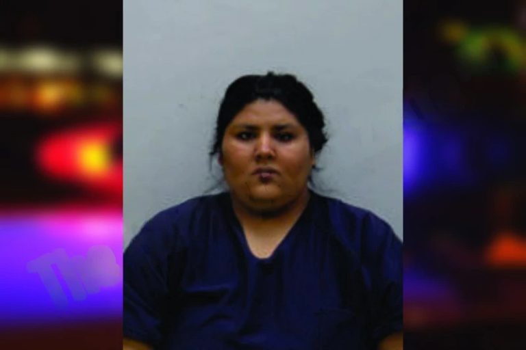 Guadalupe Gonzalez mugshot – Bartow County , Georgia Guadalupe Gonzalez