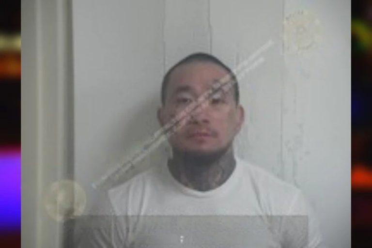Ha Choi mugshot – Walton County , Georgia Ha Choi