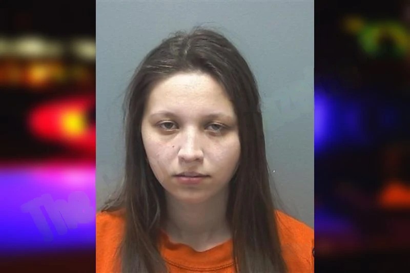 Hailey Chelette mugshot – Cherokee County , Georgia Hailey Chelette mugshot