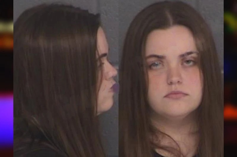 Hailey Cook Mugshots
