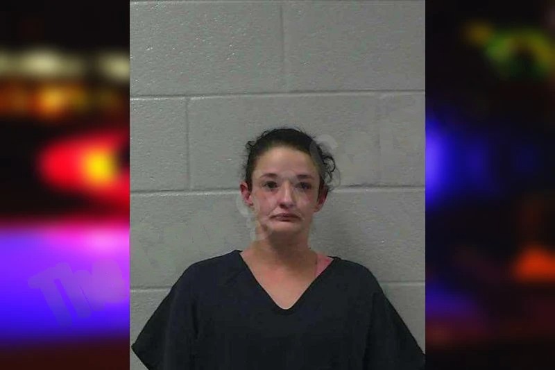 Haley Brown Mugshots