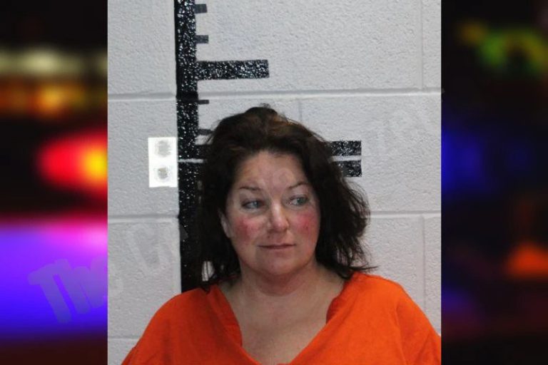 Haley Dill mugshot – Murray County , Georgia Haley Dill