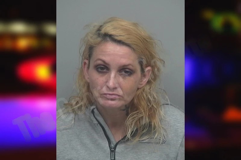 Halli Blower Mugshots