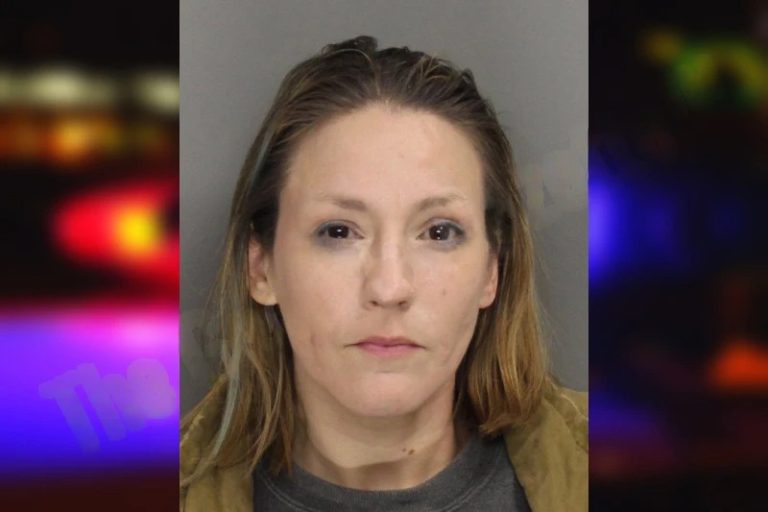 Hanna Harrison mugshot – Gwinnett County , Georgia Hanna Harrison