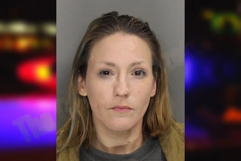 Hanna Harrison mugshot