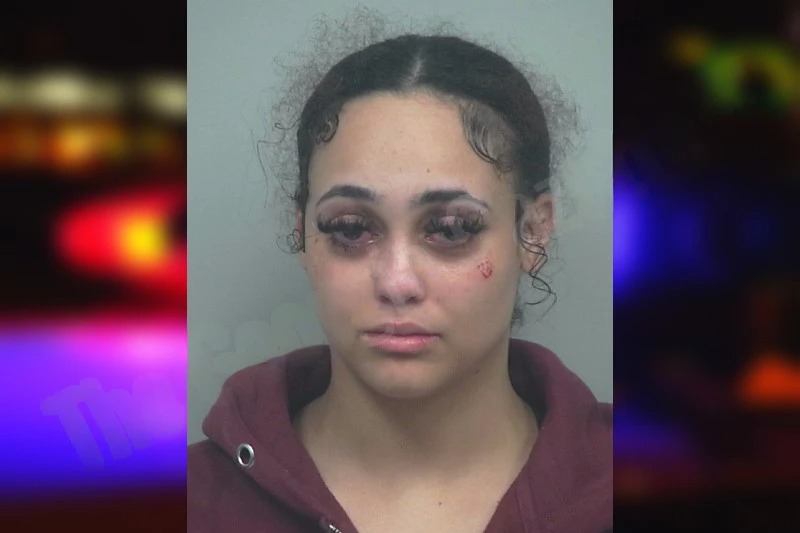 Hannah Brooks Mugshots