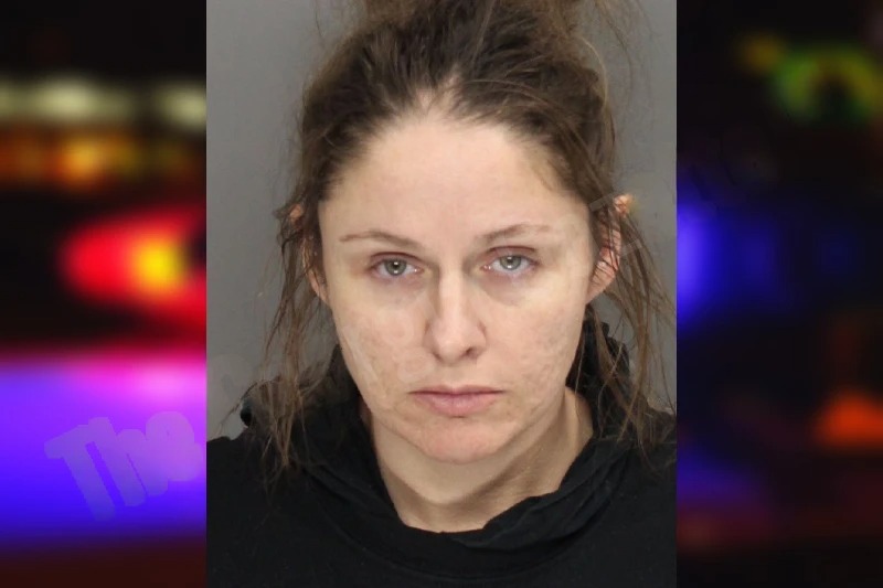 Hannah McDaniel mugshot – Cobb County , Georgia Hannah McDaniel mugshot