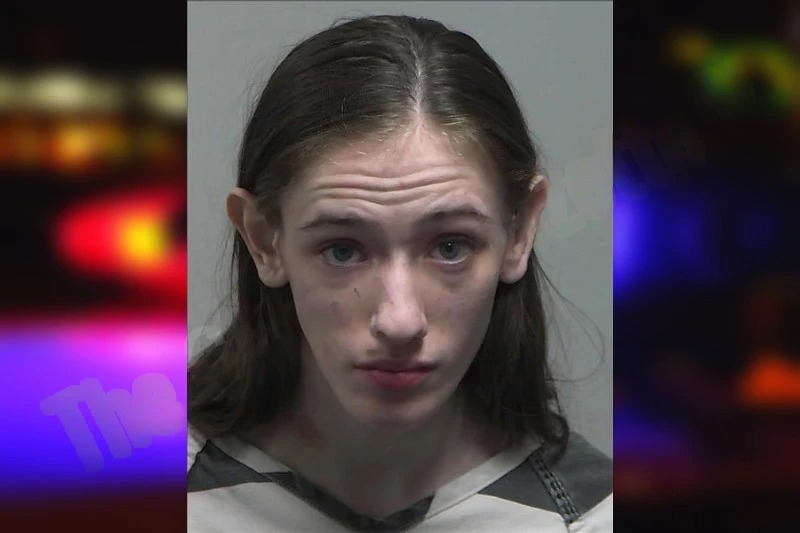 Hannah Miller mugshot