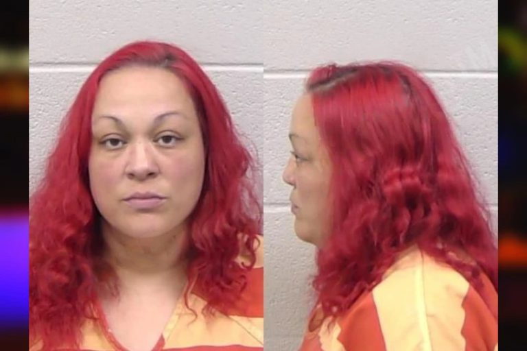 Hannah Rhodes mugshot – Paulding County , Georgia Hannah Rhodes