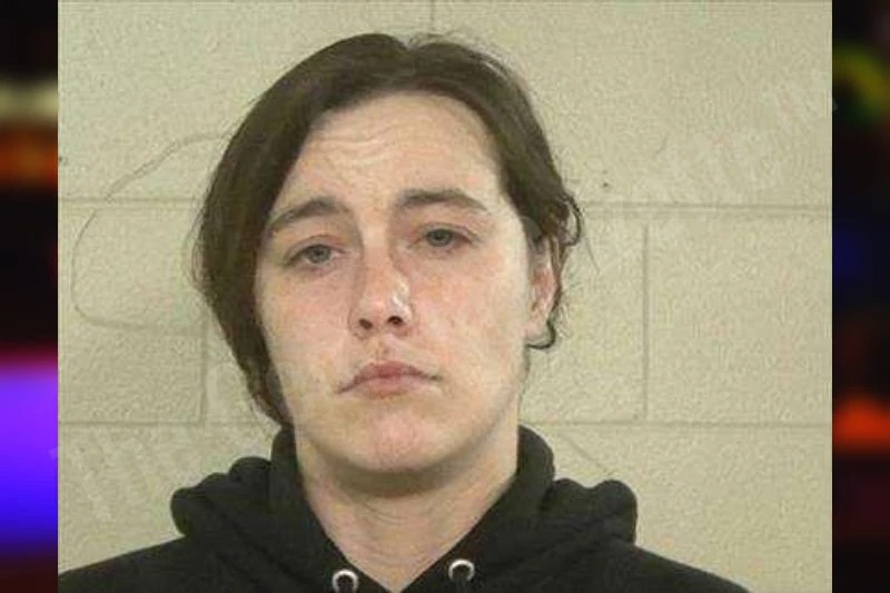 Harley Salyers mugshot