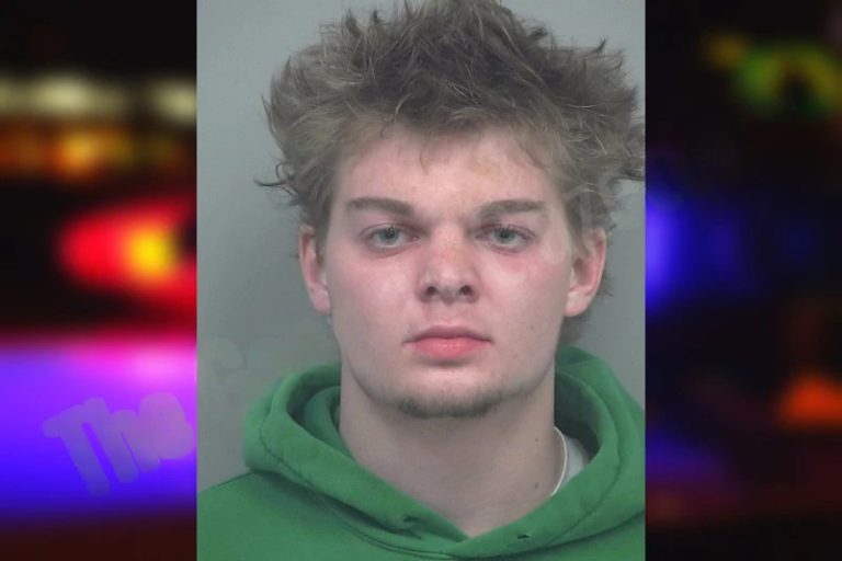 Hayden Gower mugshot – Gwinnett County , Georgia Hayden Gower