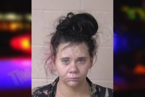 Hayden Webb mugshot – Walker County , Georgia Hayden Webb mugshot