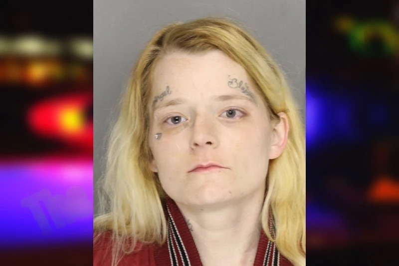 Heather Ballard Mugshots