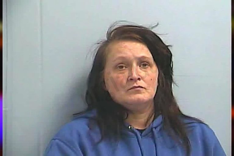 Heather Bocci mugshot – Dawson County , Georgia Heather Bocci