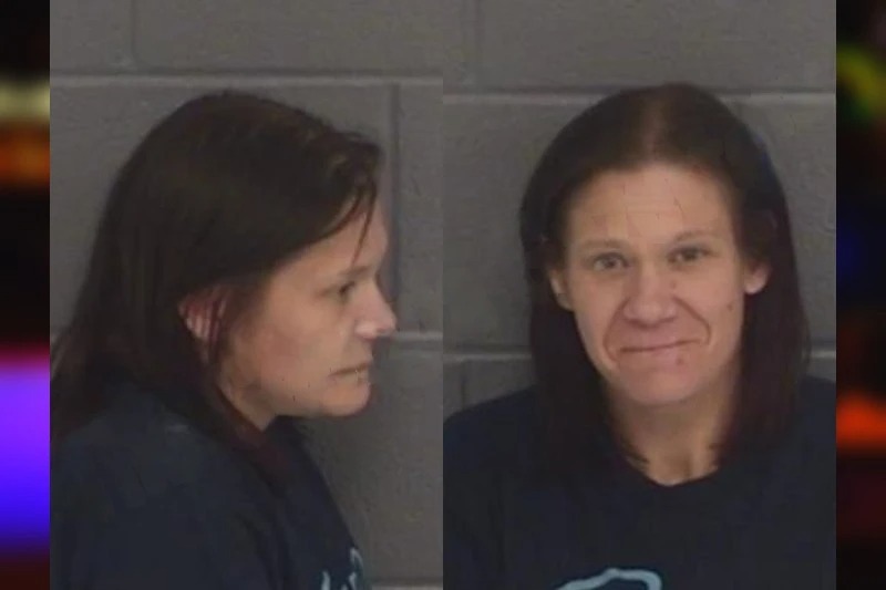 Heather Eades mugshot