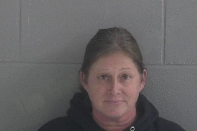 Heather Gavitt Mugshots