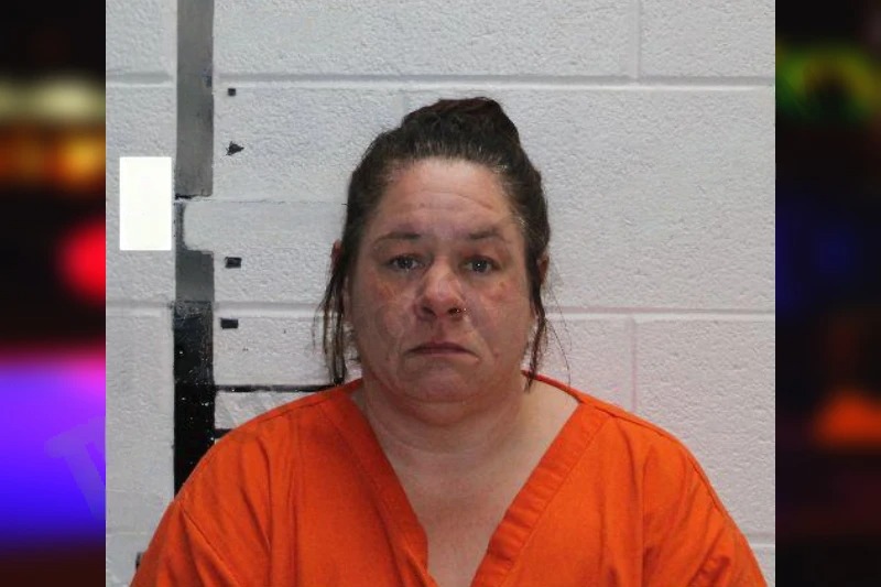 Heather Singleton mugshot – Murray County , Georgia Heather Singleton mugshot