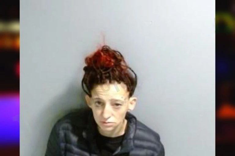 Heather Sweatman mugshot – Fulton County , Georgia Heather Sweatman