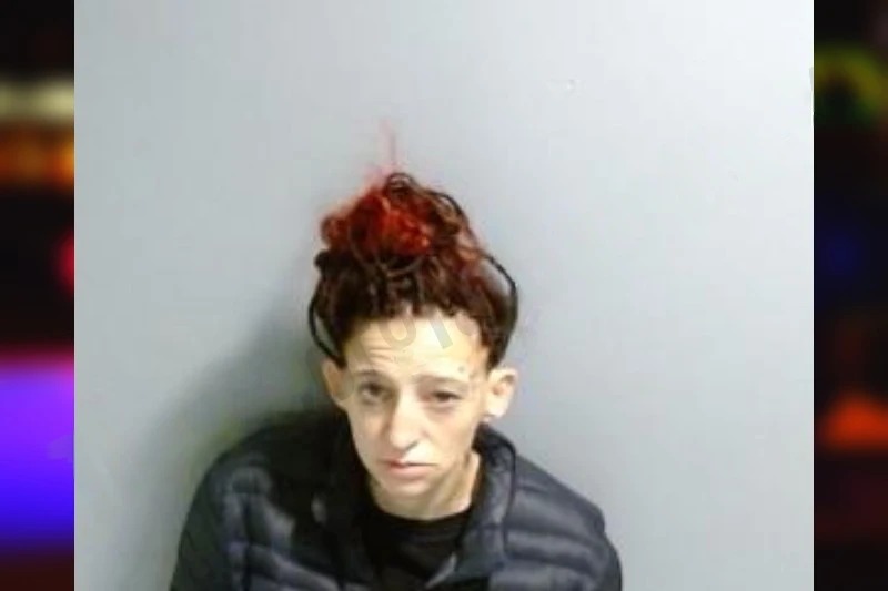 Heather Sweatman Mugshots