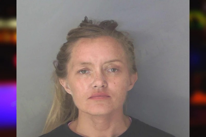 Heather Wallace mugshot