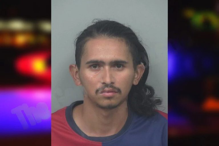 Hector Diaz Villegas mugshot – Henry County , Georgia Hector Diaz Villegas