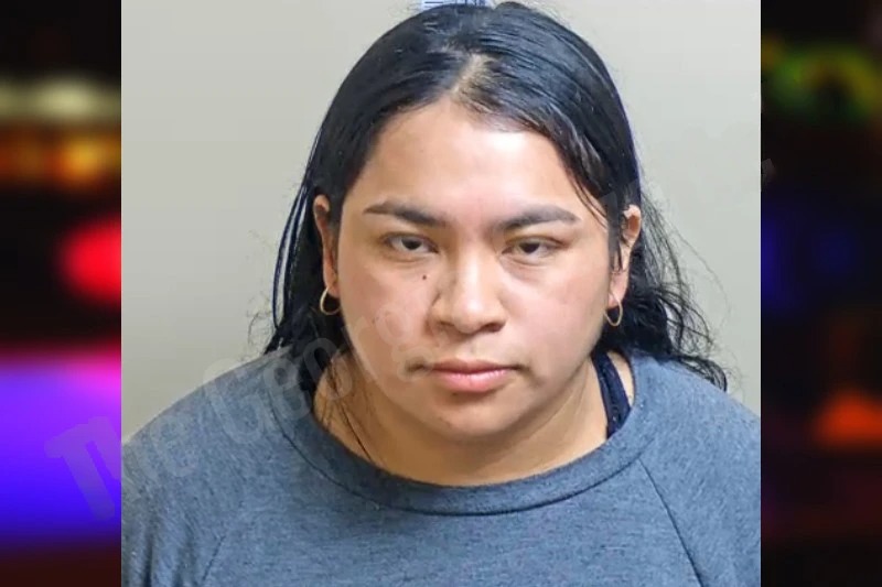 Heidy Avila-Santos mugshot – Gwinnett County , Georgia Heidy Avila-Santos mugshot