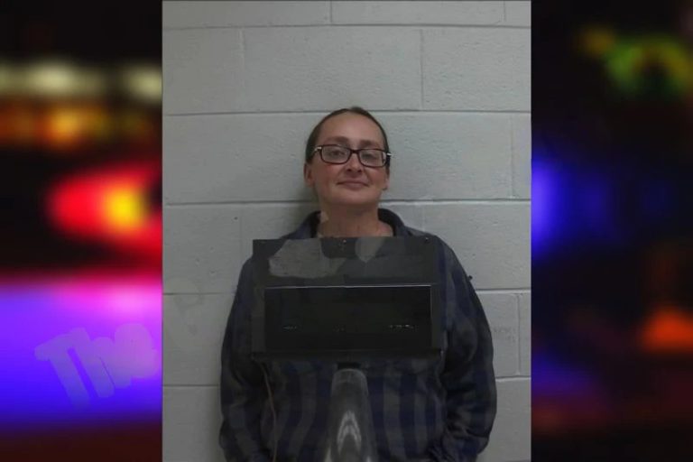 Hillary Taylor mugshot – Putnam County , Georgia Hillary Taylor