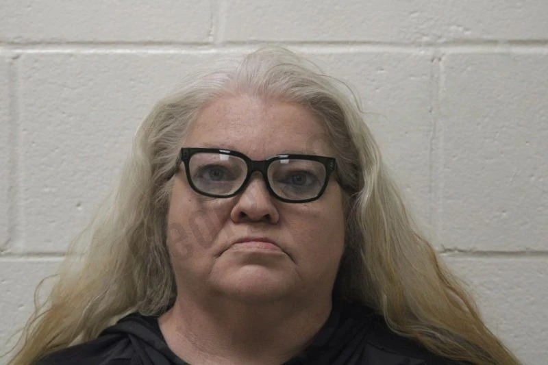 Hollie Parker Mugshots