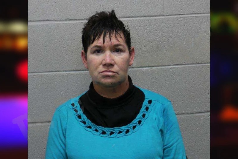 Holly Hatchett mugshot