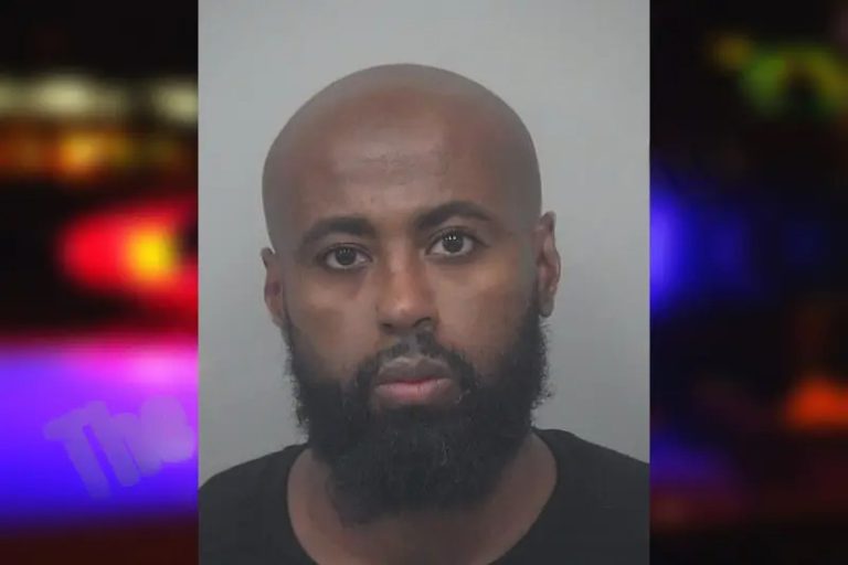 Ibrahim Ali mugshot – Gwinnett County , Georgia Ibrahim Ali