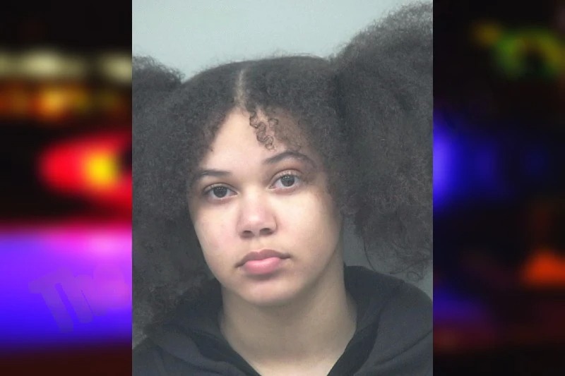 Irene Dominguez Mugshots