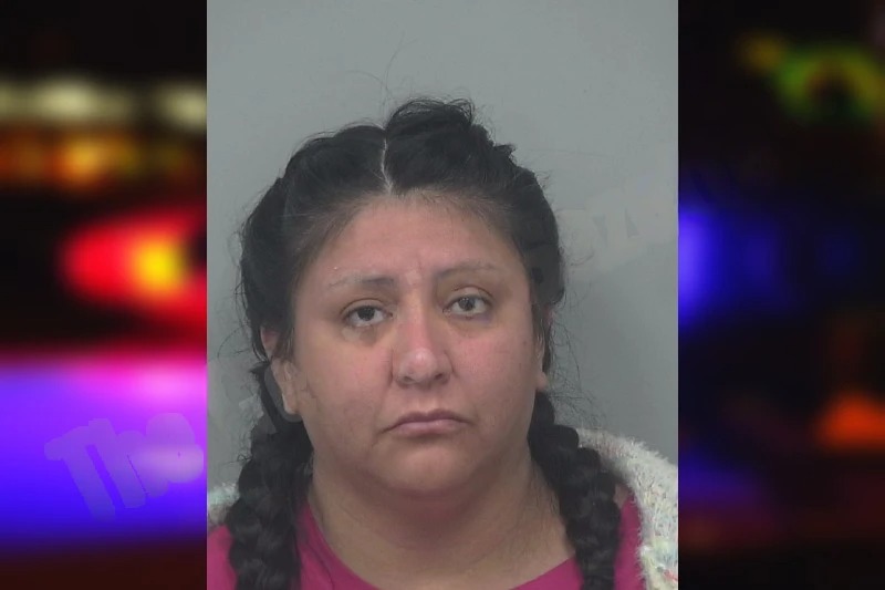 Irma Santiago mugshot