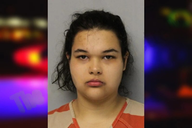 Isela Perez mugshot – Hall County , Georgia Isela Perez mugshot