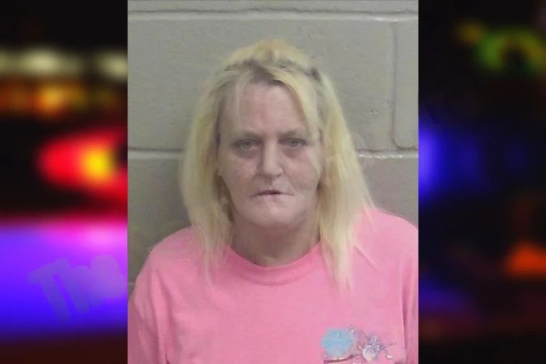 Jackie Gibson mugshot – Cobb County , Georgia Jackie Gibson