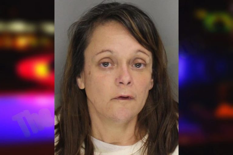 Jacqueline Stinger mugshot – Cobb County , Georgia Jacqueline Stinger