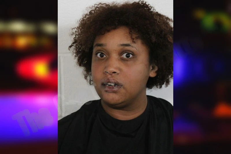 Jada Pratcher mugshot – Floyd County , Georgia Jada Pratcher mugshot