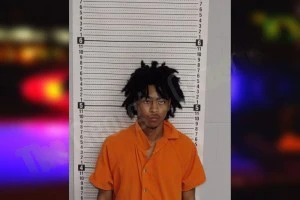 Jaedyn Johnson mugshot