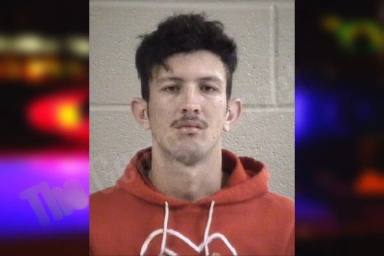 Jaisel Mateus-Dominguez