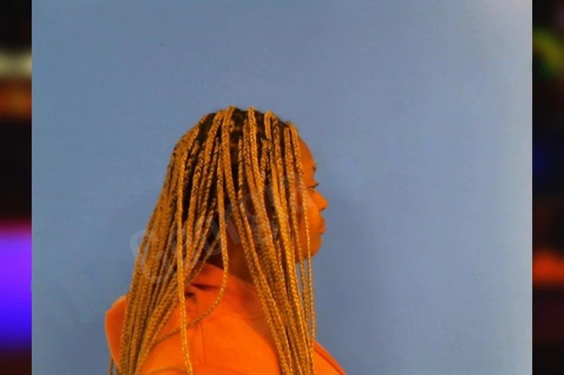 Jamiyah Ross Mugshots