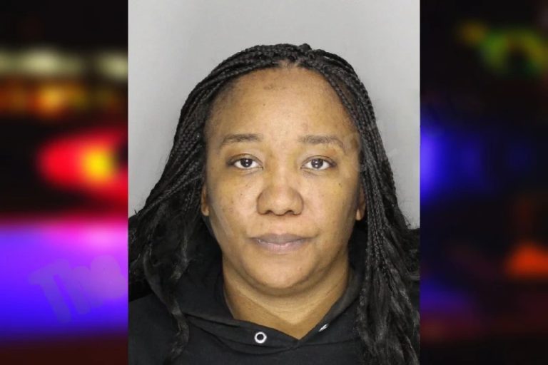 Janee Boston mugshot – Cobb County , Georgia Janee Boston