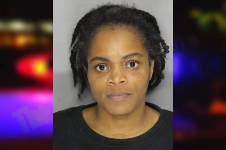 Janee Casimir mugshot – Cobb County , Georgia Janee Casimir