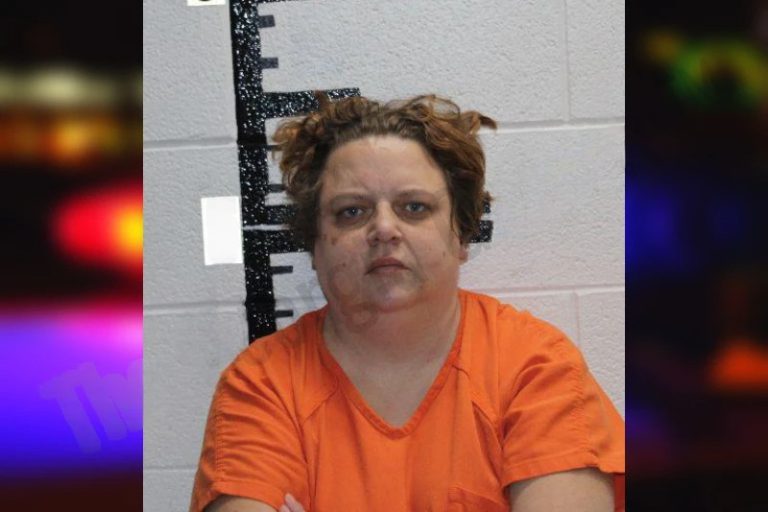 Jannie Bray mugshot – Murray County , Georgia Jannie Bray