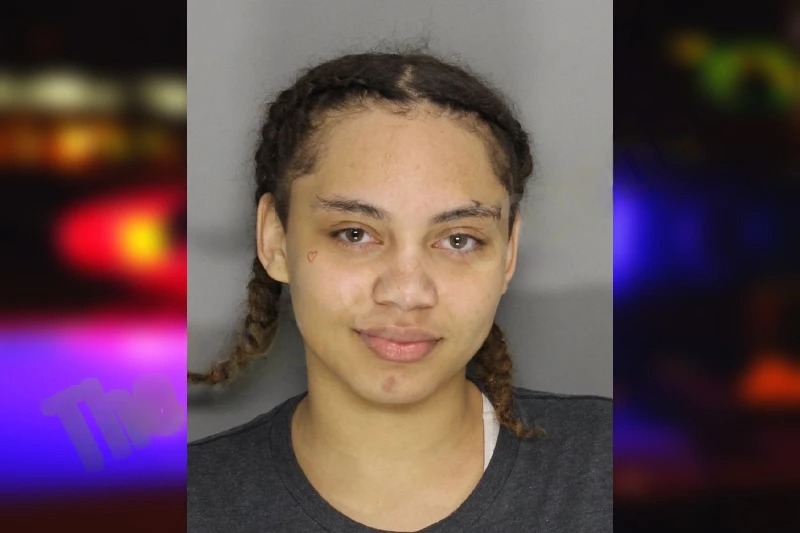 Jasmine Hicks mugshot