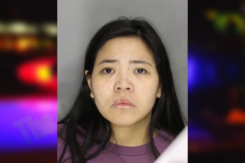 Jasmine Laxamana Mugshots