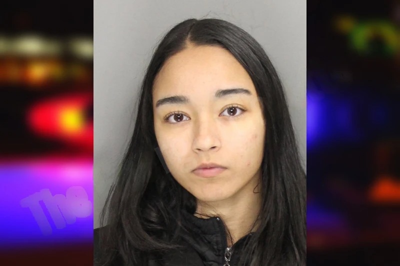 Jaylah Wendt Mugshots