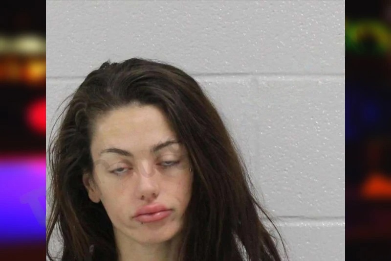 Jazmin Harrison Mugshots